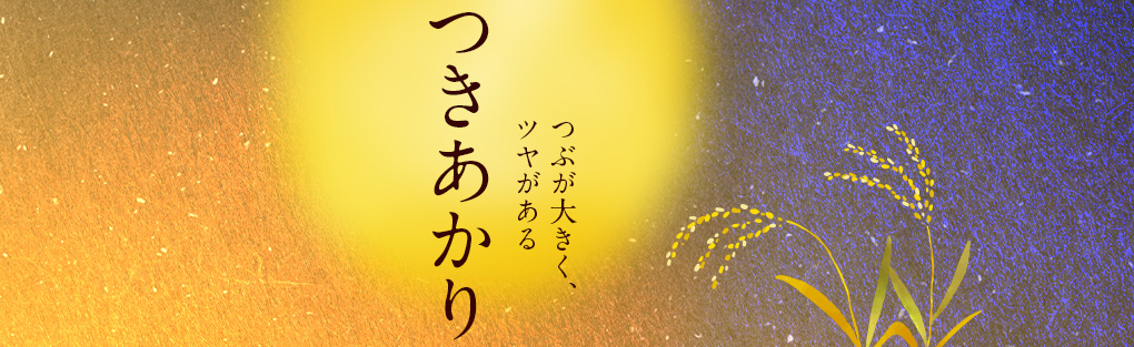 つきあかりイメージ