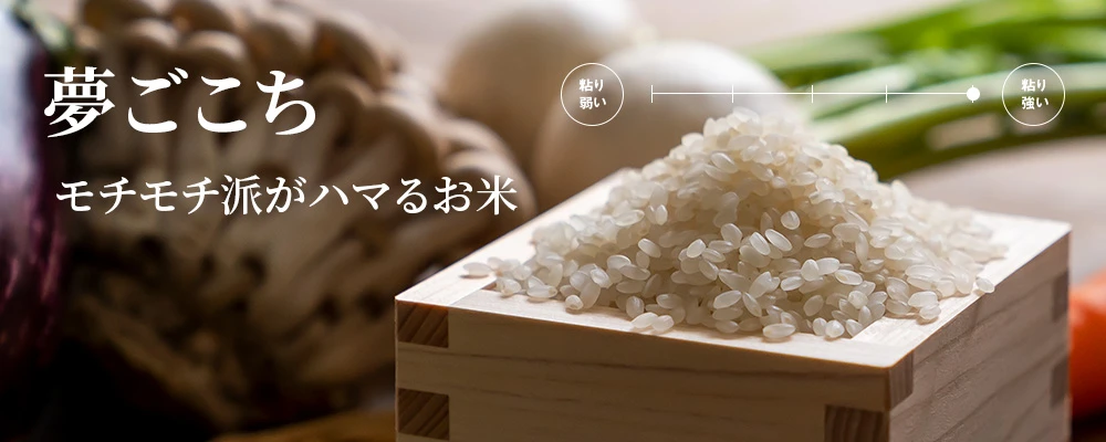 夢ごこち コシヒカリを越える米