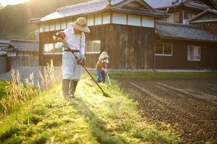 日本の農業の高齢化イメージ