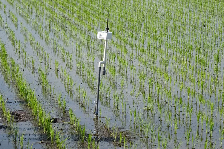 水田ファーモイメージ