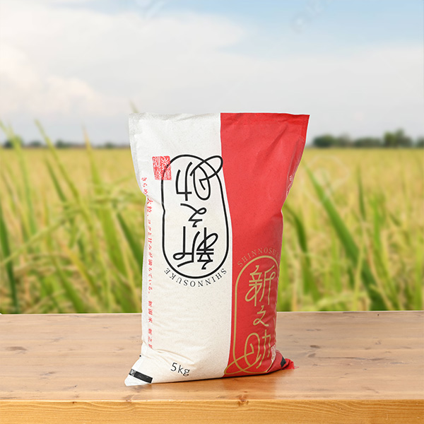 東山ファーム(原直治)さんの新潟県糸魚川市産新之助