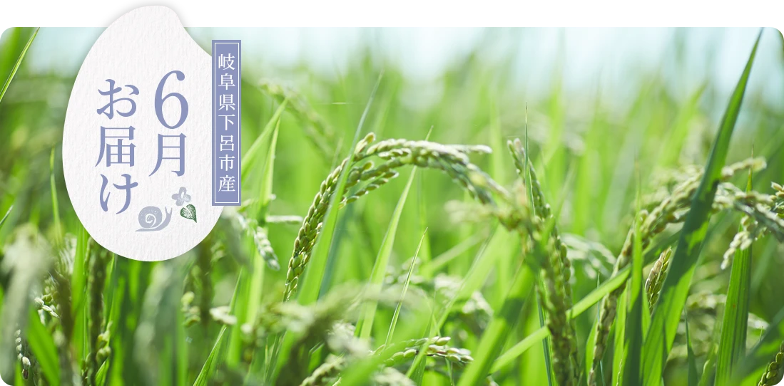 岐阜県下呂市産 6月にお届け