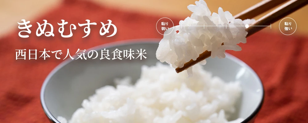 きぬむすめイメージ
