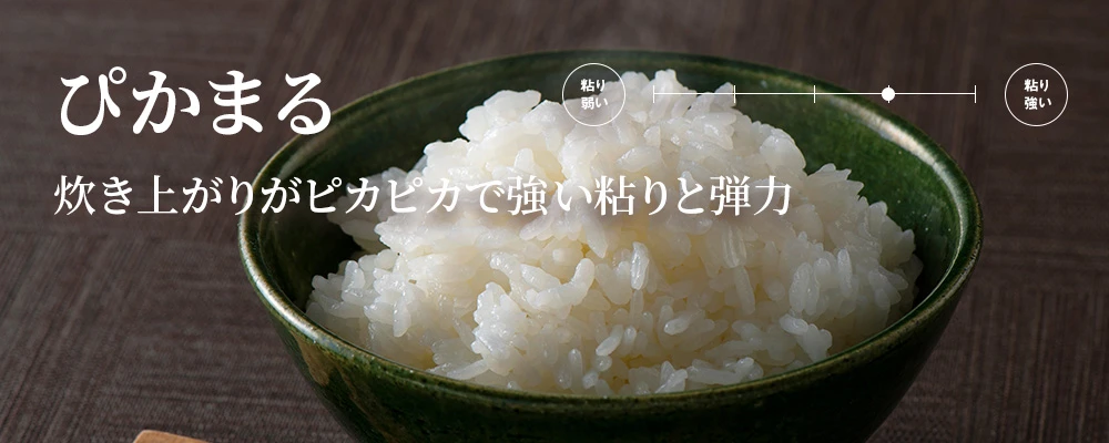 ぴかまる