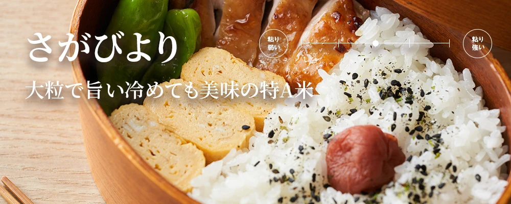 さがびより