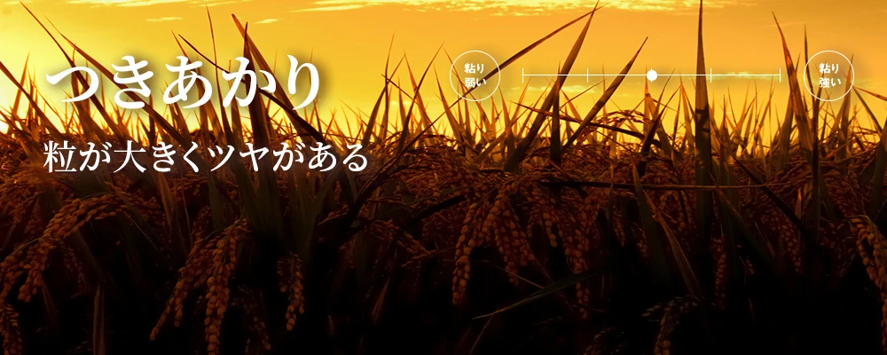 つきあかりイメージ