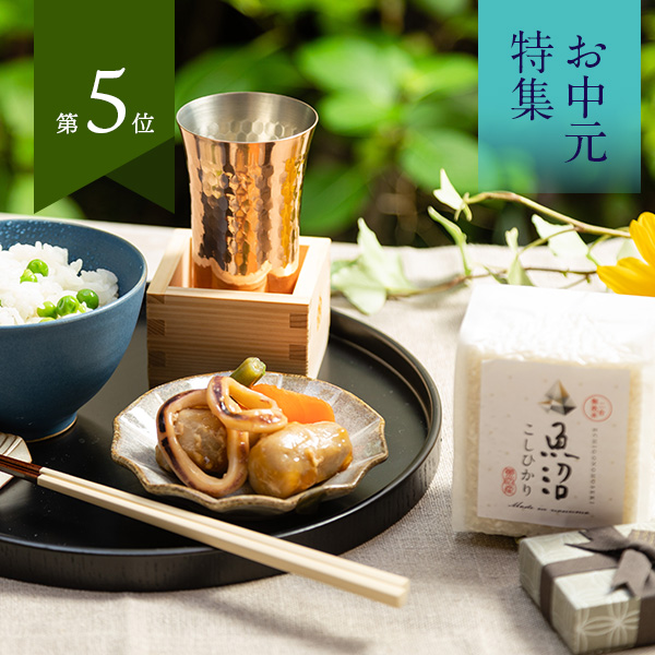 『越後の宝石』魚沼産コシヒカリ真空キューブ6個セット(無洗米・各300g)