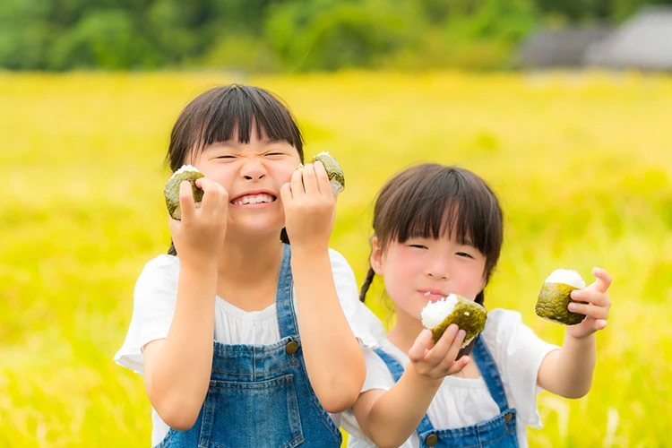 新米を食べるイメージ