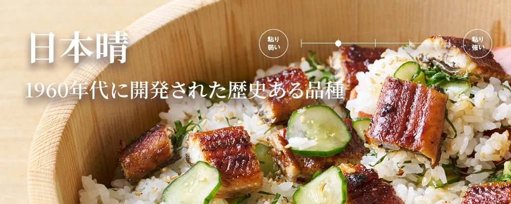 日本晴