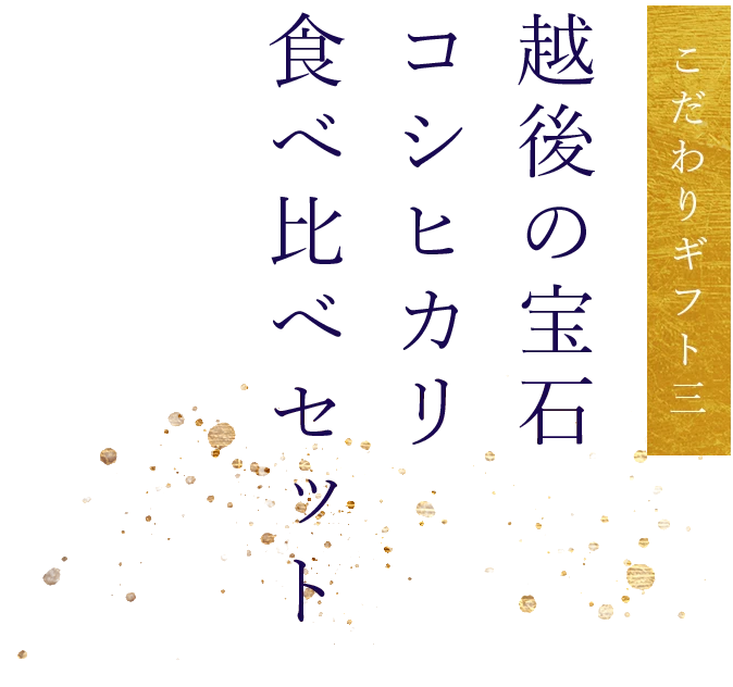 『越後の宝石』魚沼産コシヒカリ真空キューブ9個セット(無洗米・各300g)