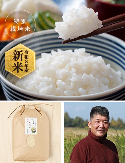 商品紹介