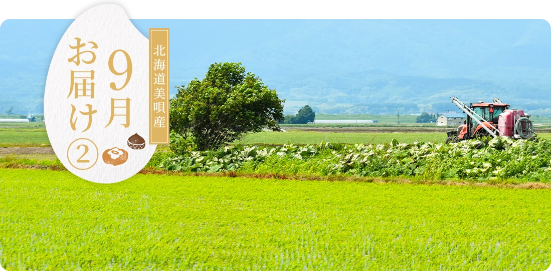 北海道美唄産9月にお届け