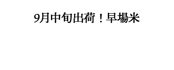 本田義光米
