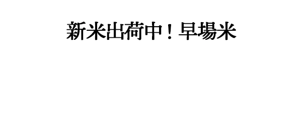 金賞土佐米コシヒカリ