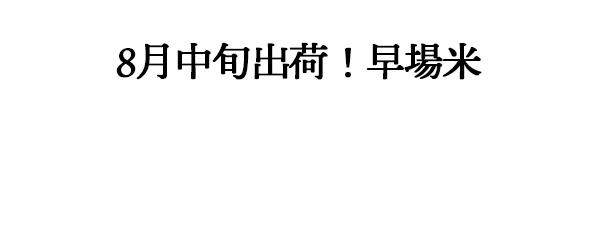 金賞土佐米コシヒカリ
