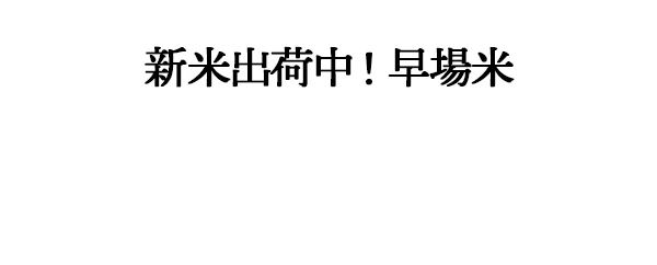 金賞近江米ミルキークイーン
