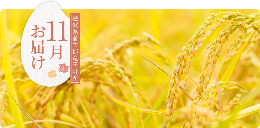 滋賀県産11月にお届け