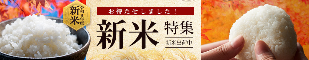 新米特集