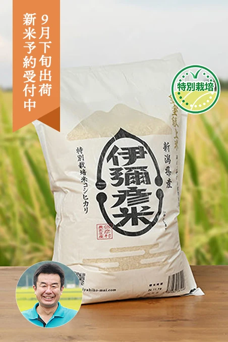 第四生産組合さんの新潟県弥彦村産『伊彌彦米コシヒカリ』(特別栽培米)