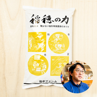 【新米出荷中!】田中ファーム(田中雅人)さんの秋田県大潟村産「稲穂の力」(特別栽培米・あきたこまち)