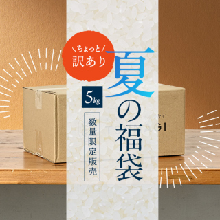 【福袋】ちょっと訳ありツナギの令和7年産『福袋米』5kg