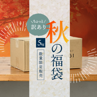 【福袋】ちょっと訳ありツナギの令和8年産『福袋米』5kg