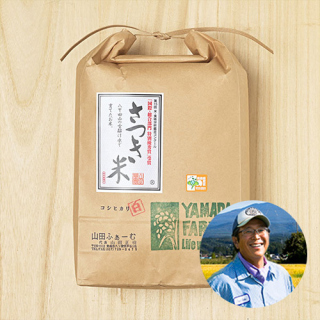 【新米出荷中!】(定期購入)山田ふぁーむさんの青森県青森市産コシヒカリ(特別栽培米)