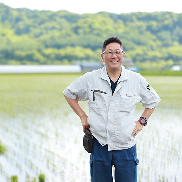 定期購入】佐渡農場(佐渡重仁)さんの北海道芦別市産「JAS有機 定期購入】佐渡農場(佐渡重仁)さんの北海道芦別市産「JAS有機