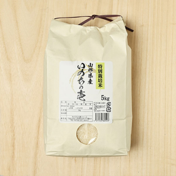 食品詰め合わせ　産地直送　山形米 tokusai10kg.jpg