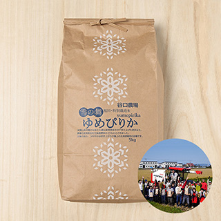 【新米出荷中】【白米・玄米】谷口農場さんの北海道旭川市産ゆめぴりか(特別栽培米)