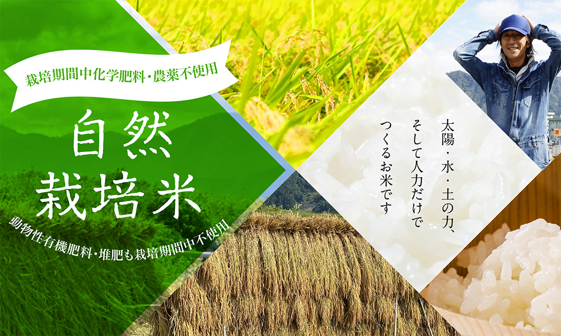 自然栽培で作ったお米