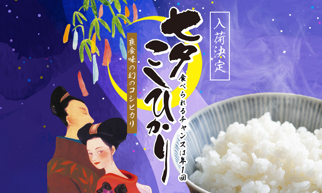 七夕コシヒカリ