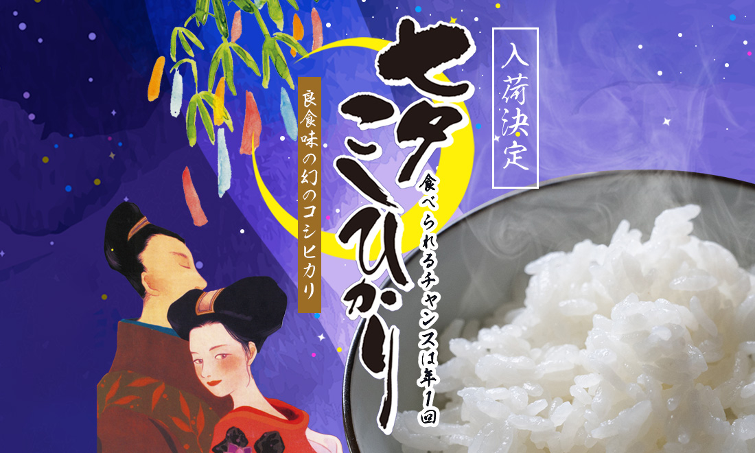 七夕こしひかり