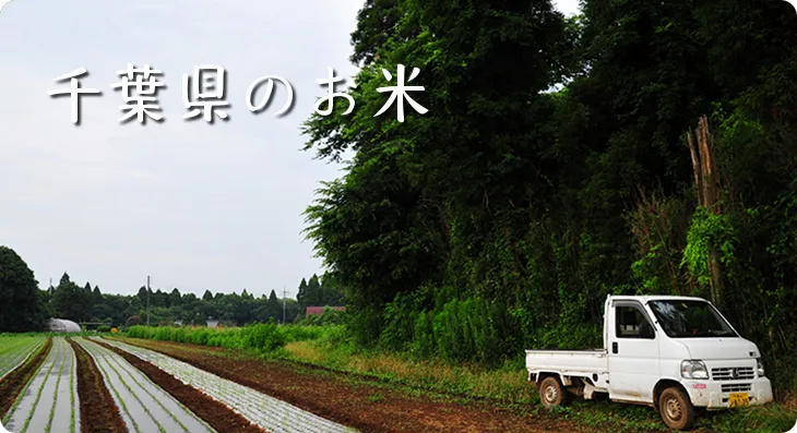 厳選「千葉県産お米」の通販・お取り寄せ | 美味しいお米の通販サイト