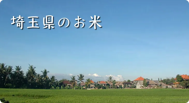 厳選「埼玉県産お米」の通販・お取り寄せ | 美味しいお米の通販サイト