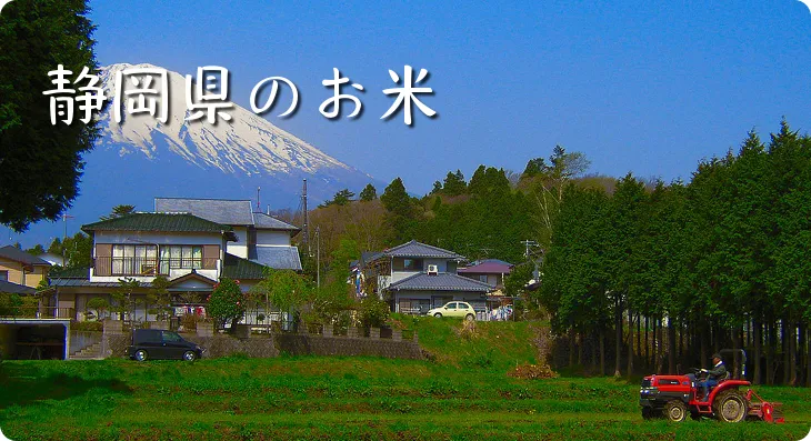 厳選「静岡県産お米」の通販・お取り寄せ | 美味しいお米の通販サイト