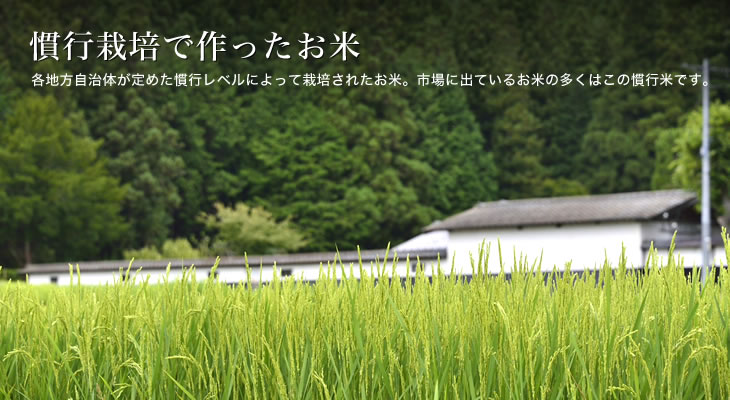 慣行栽培米