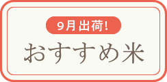 9月出荷!新米特集