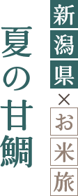 夏の甘鯛