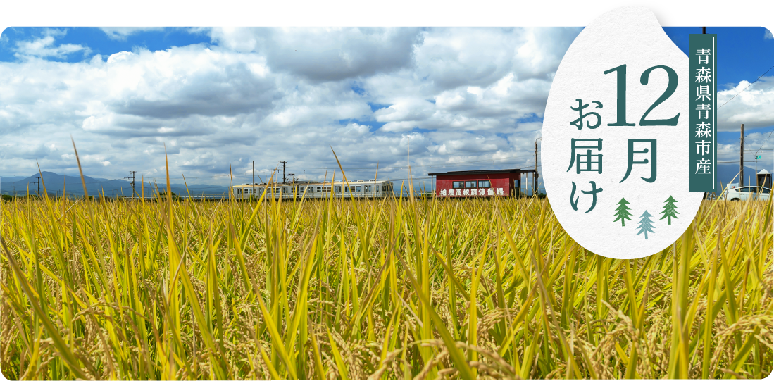 青森県青森市産 12月にお届け