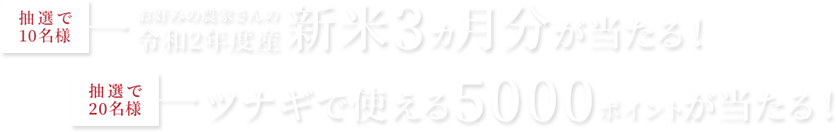 抽選で10名様に新米3カ月分が当たる！抽選で20名様に5000ポイント！