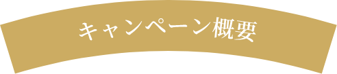 キャンペーン概要