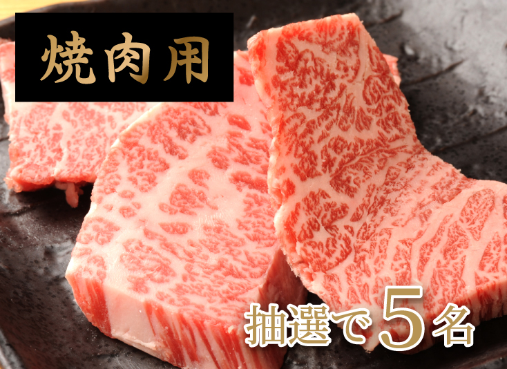 焼肉用