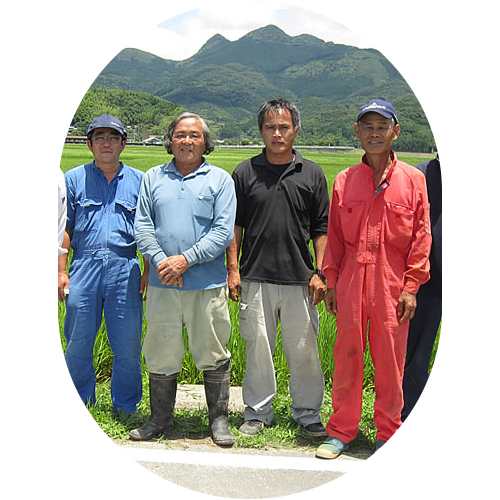 鹿児島県南さつま市のお米農家-石蔵米生産グループ