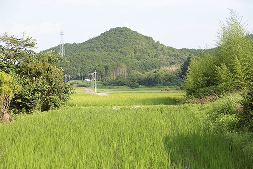 画像