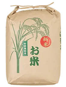 1123_kv_item_sp.webp