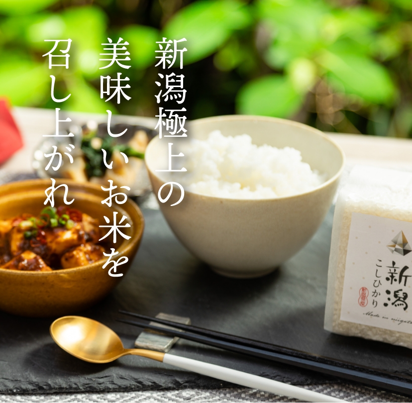 越後の宝石』新潟県産コシヒカリ真空キューブ 6個セット(各300g