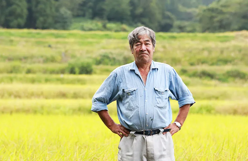 送料込み！家計応援米 日本の米 大自然の恵み 8KG 送料込み！家計