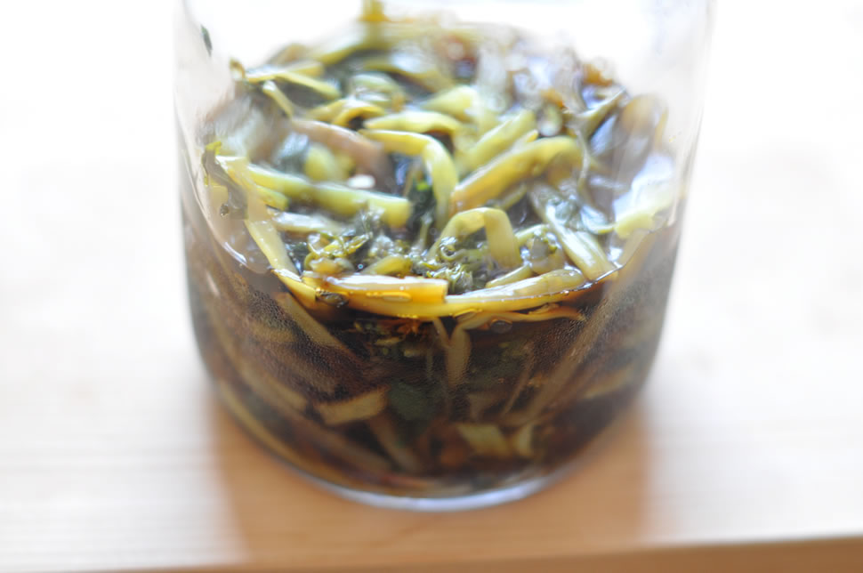 花わさびの醤油漬け 花わさびの醤油漬け