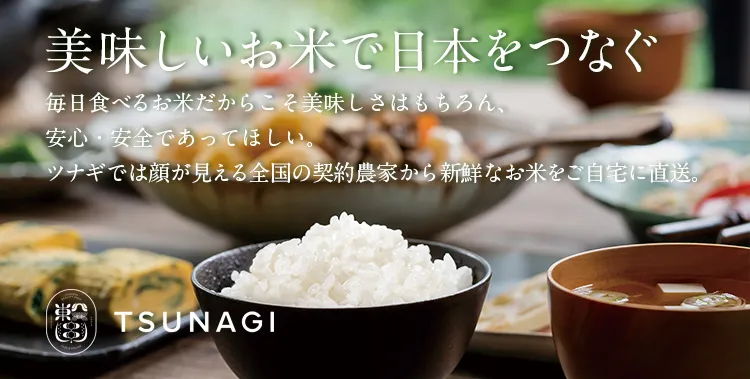 【白米10kg】農家直送！美味しいお米！埼玉県産コシヒカリ！食品/飲料/酒